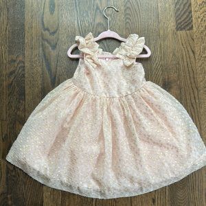 Janie and Jack pink party dress 12-18m